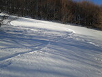 20130303_150831.jpg