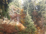 20131027_092511.jpg