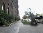 20140818_092201.jpg